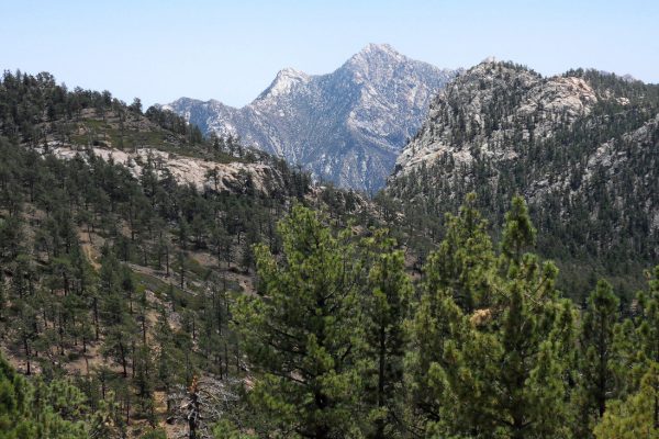 SIERRA 3